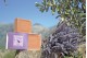 Jabón Natural de Aceite de Oliva con Lavanda- Jabón de Mallorca