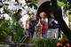 Workshop distillation - Mallorca  Natur
