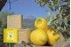 Savon Naturel  à l'Huile d'Olive et Citron - Jabón de Mallorca