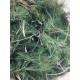 Pine essential oil from Mallorca