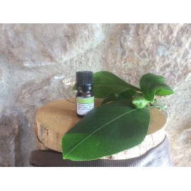 Aceite esencial de limón petitgrain de Mallorca