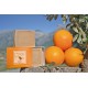 natural olive and oraange soap  from Sóller Mallorca