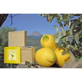 Olive and lemon natural soap