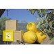 olive and lemon natural  soap  from Sóller Mallorca