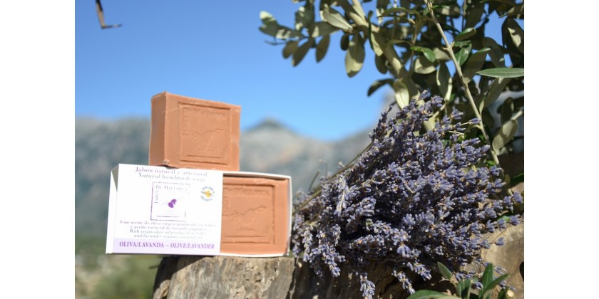 Production of natural olive / lavender soap